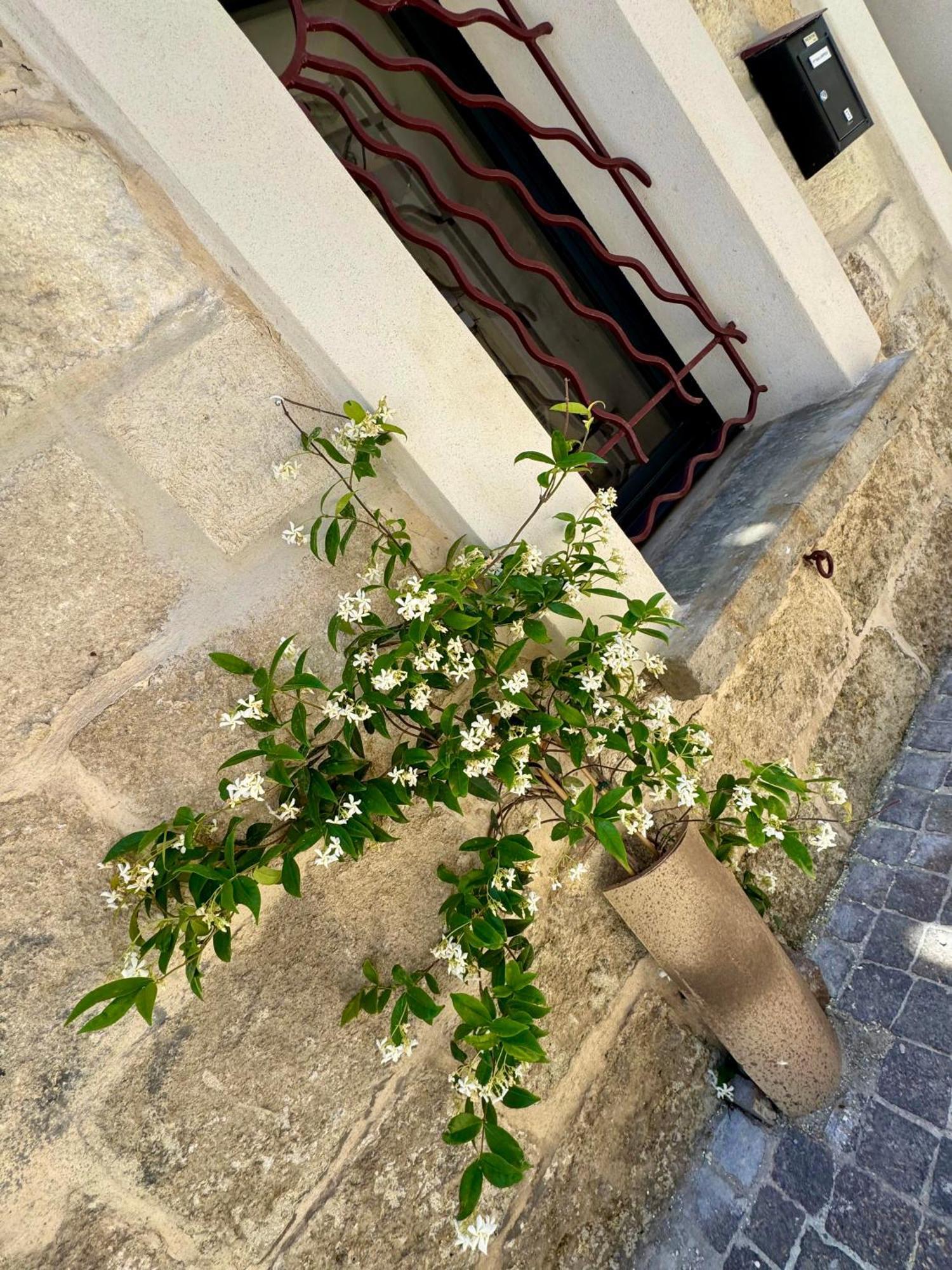 לה-גרו-דו-רואה Maison De Village Renovee ! מראה חיצוני תמונה